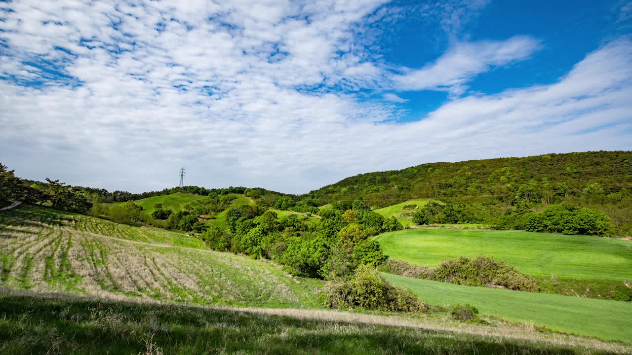 Daun木jang(农场)的风景/韩国蔚山中区视频素材