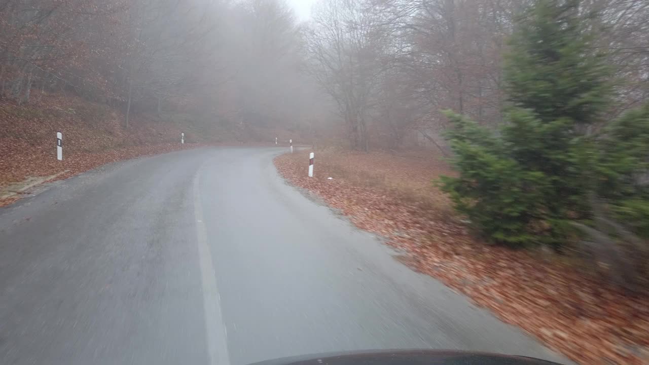 从驾驶座上看马路上的秋天风景视频素材