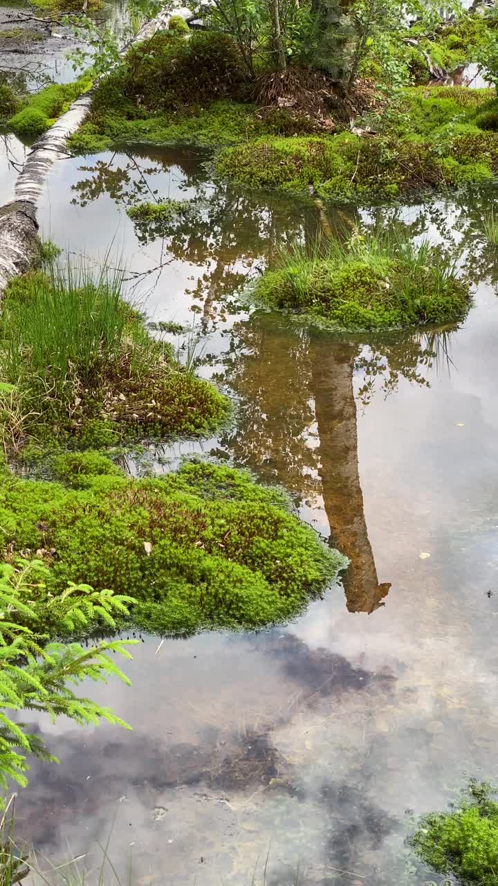 一个自然景观是在水下。视频素材