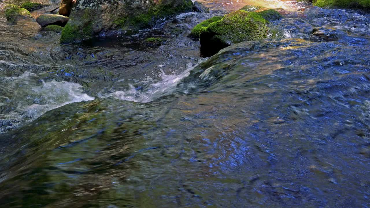 森林中石头之间的河流的特写-流水的细节视频素材