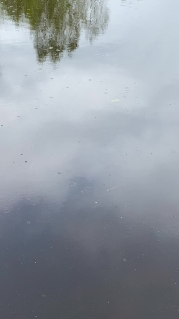 雨落在湖面上。树木和多云的天空倒映在水面上。视频素材