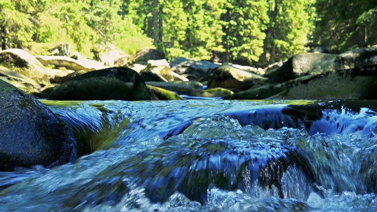 森林中石头之间的河流的特写-流水的细节视频素材