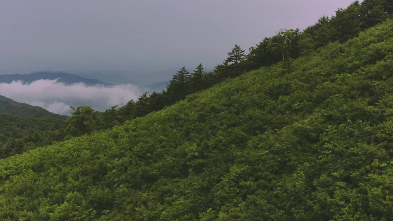 全罗南道求礼郡智日山亨济峰云海视频素材