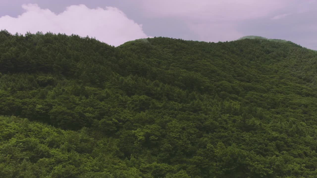 全罗南道求礼郡智日山亨济峰云海视频素材