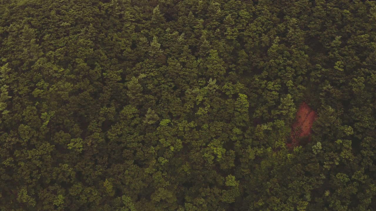 全罗南道求礼郡智日山亨济峰的风景视频素材