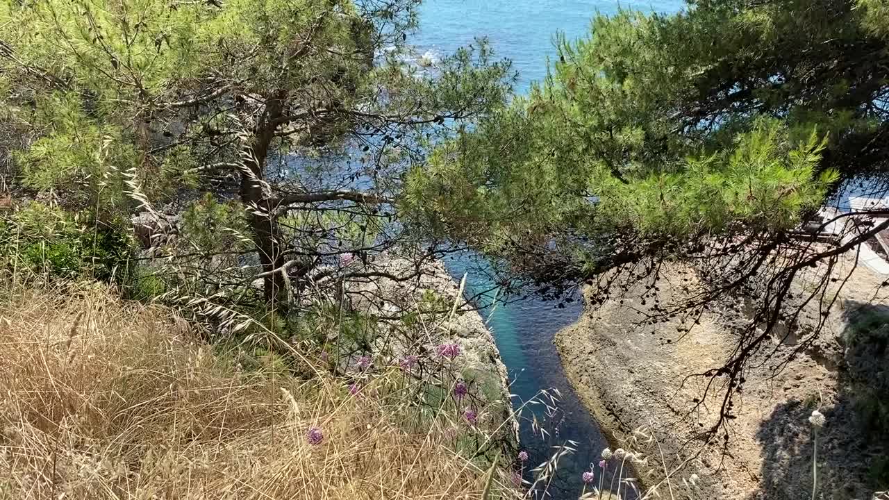 夏季海上风景。海峡谷与闪亮的蓝色清澈的水。岩石海岸，草甸上有野花，森林里有茂密的松树。孤独的地方。地中海夏季自然。视频素材