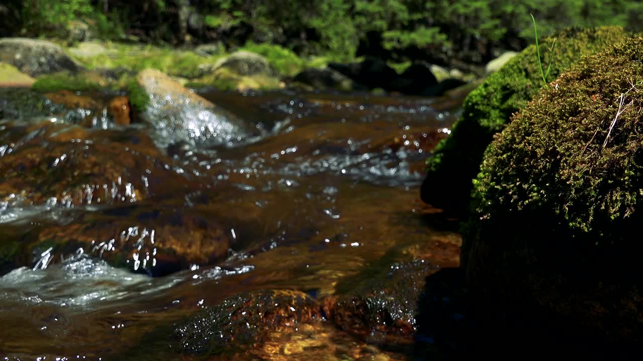 森林中石头之间的河流的特写-流水的细节视频素材