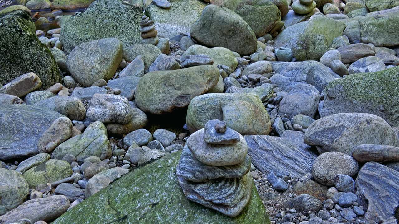 森林里的小河里有石头——阳光视频素材