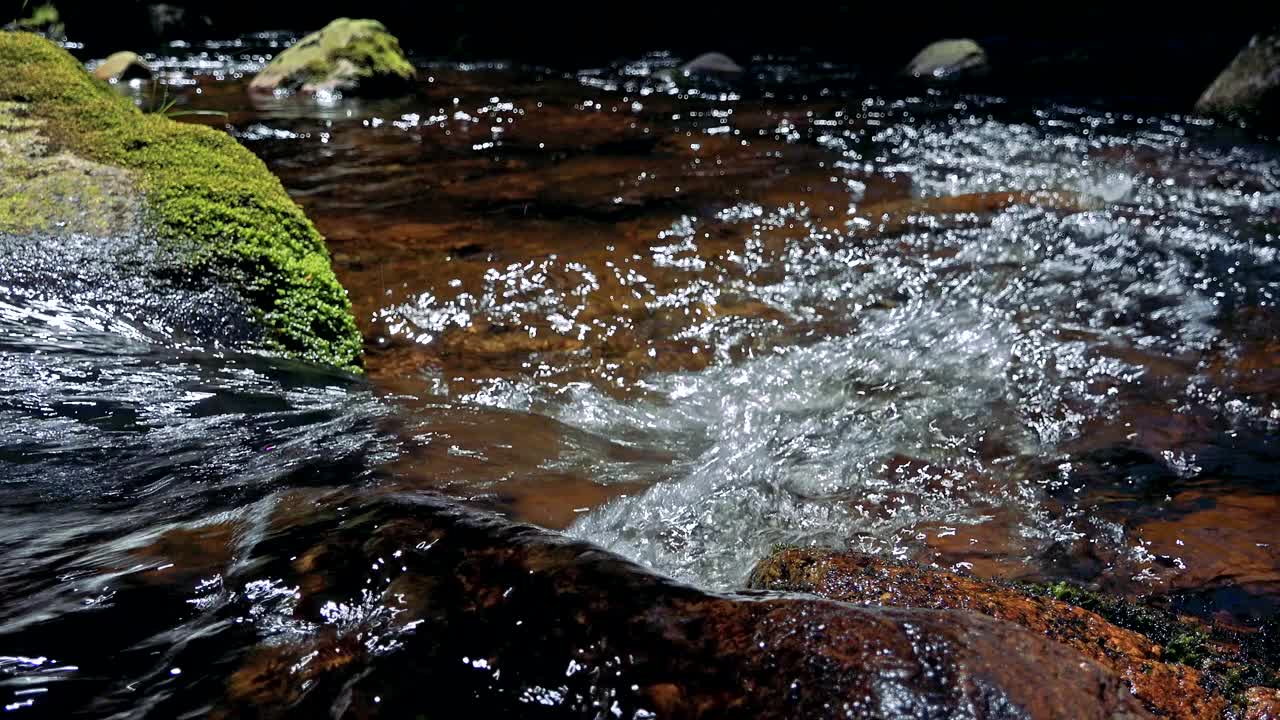 森林中石头之间的河流的特写视频素材