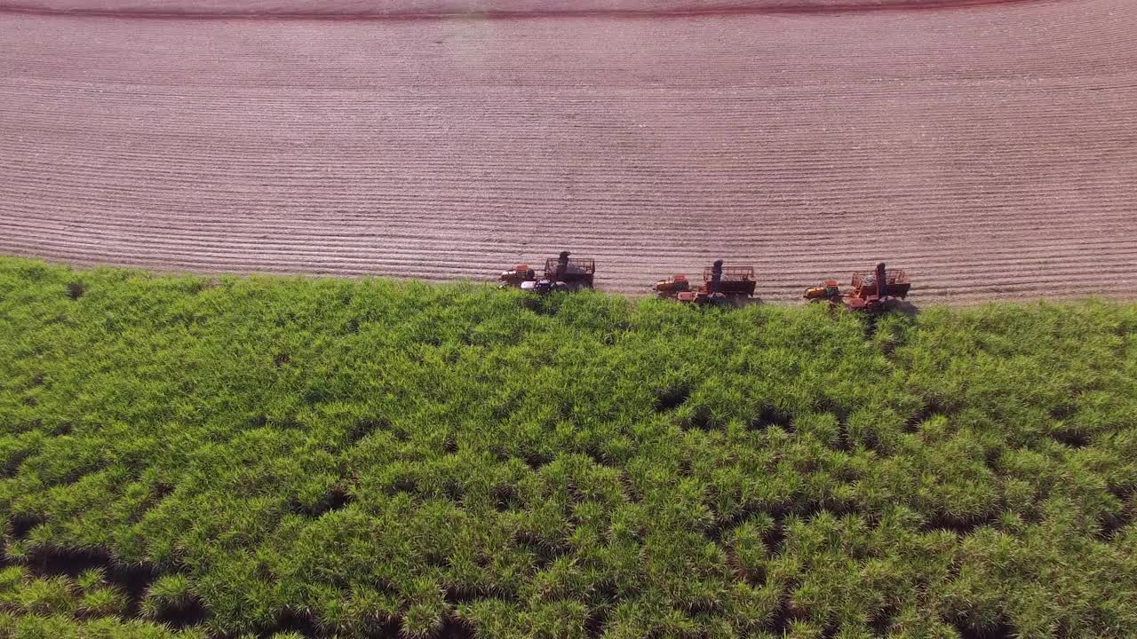 甘蔗收获园，三台机器鸟瞰视频素材