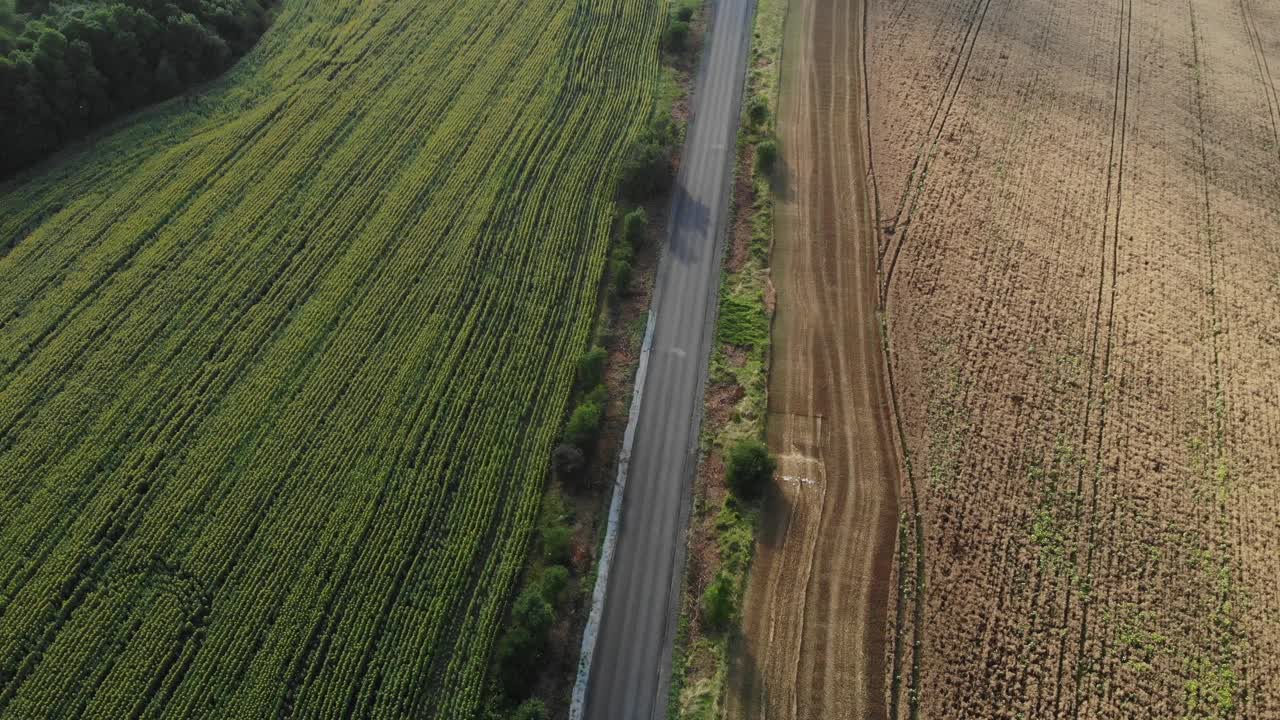 4K无人机拍摄了一条笔直的道路，两辆汽车在农田之间经过视频素材