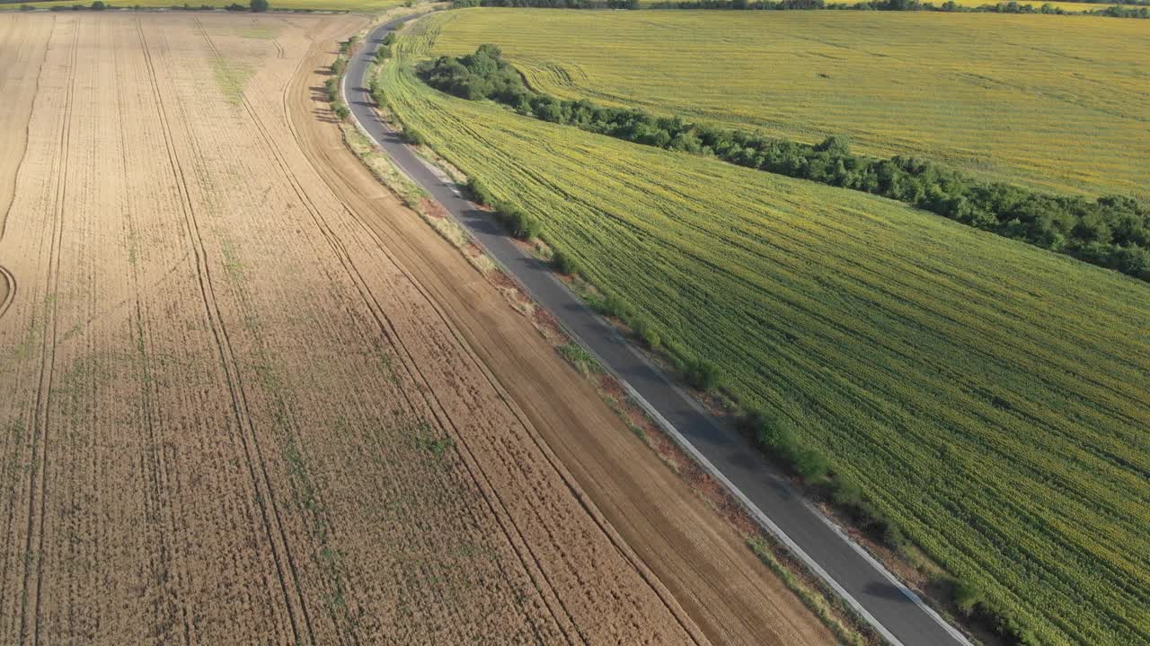 4k视频鸟瞰被农田包围的空旷道路视频素材