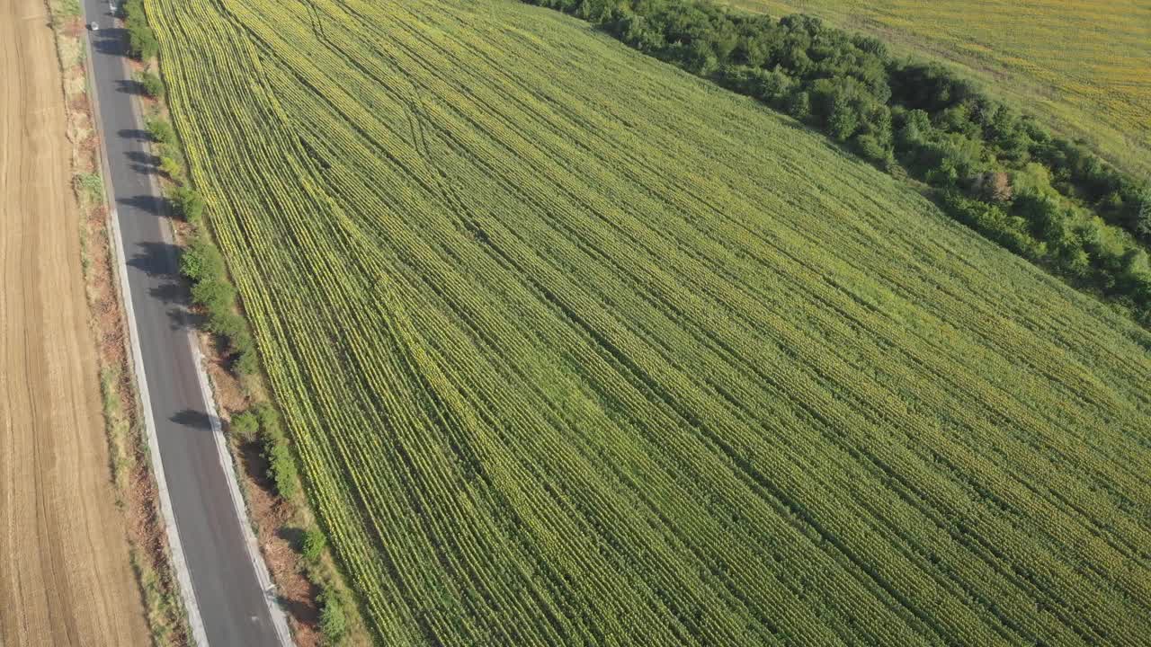 4k无人机视频跟踪不同颜色的汽车在空旷的道路上视频素材