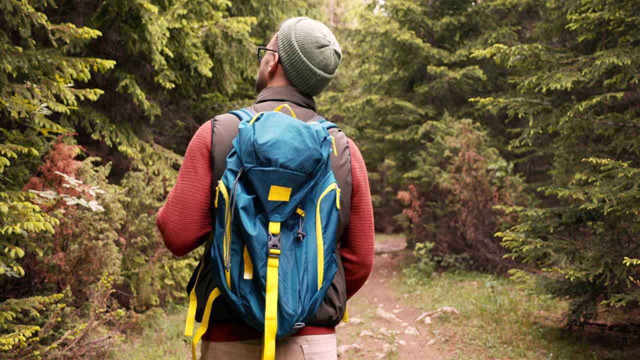 徒步旅行者穿过森林的后视图。视频素材