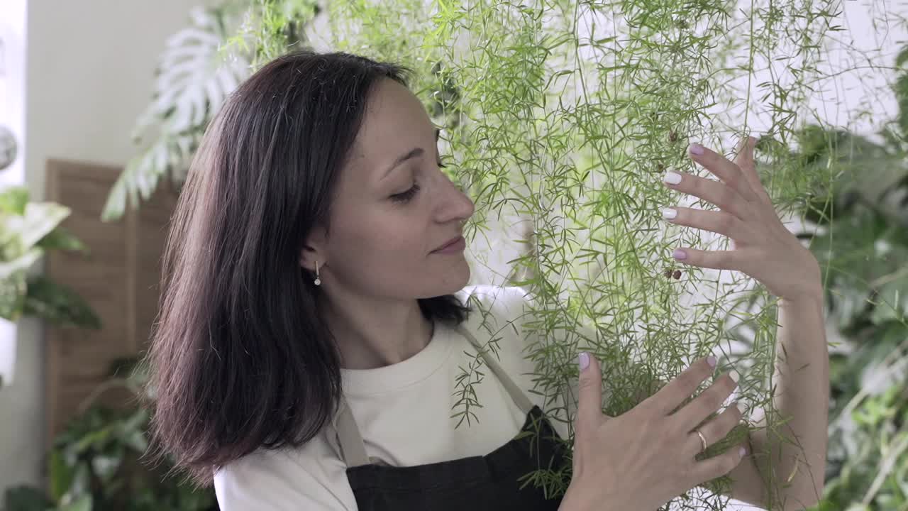 美丽的女人园丁摆姿势与绿色植物，而站在房子房间视频素材