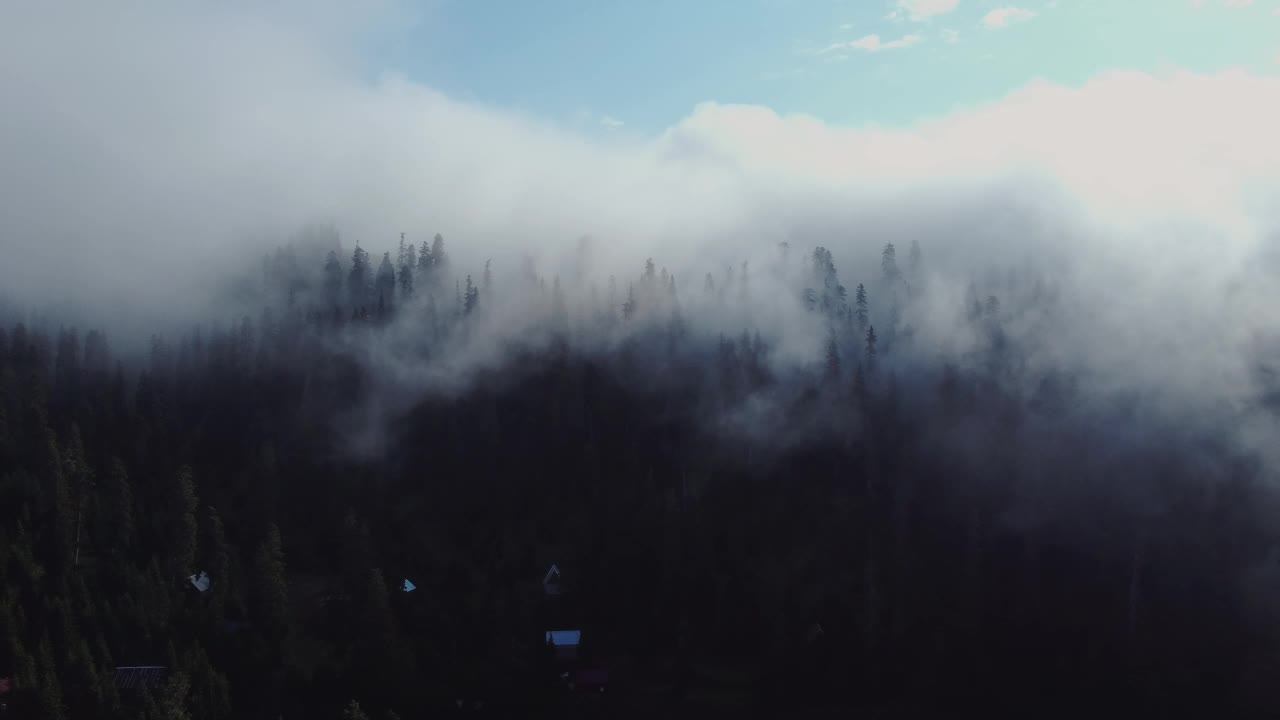 云和森林鸟瞰图视频素材