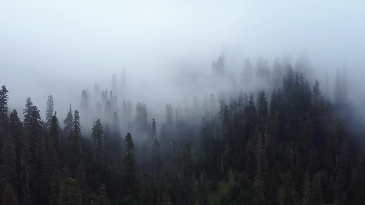 迷雾森林的空中视频素材