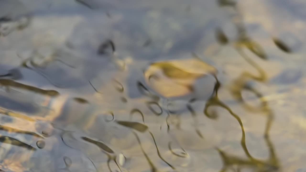 森林河流或湖泊的地表水背景。平静放松的背景。河近丰清溪。清水慢动作中的光反射。惊人的波浪在河面荡漾。视频素材