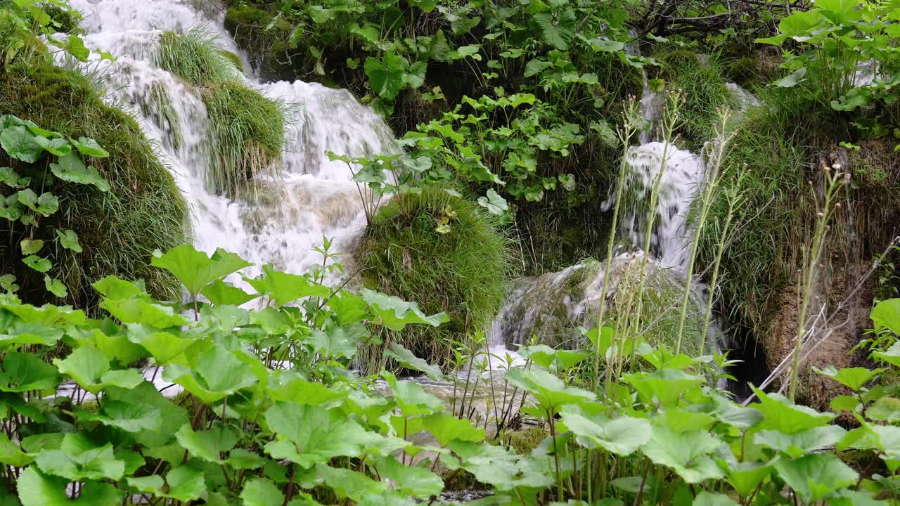 山上有瀑布和森林溪流。山溪特写视频素材