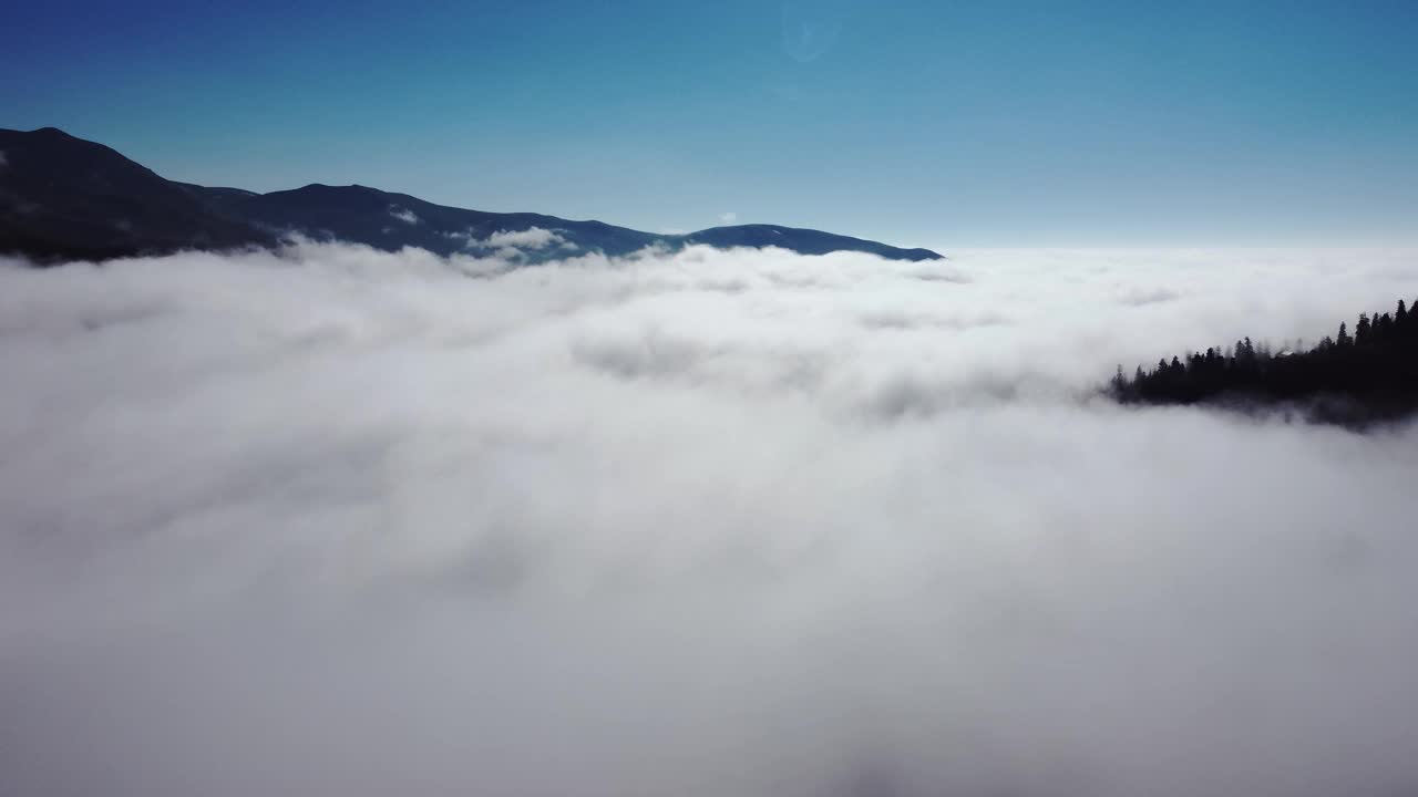 云和森林鸟瞰图视频素材