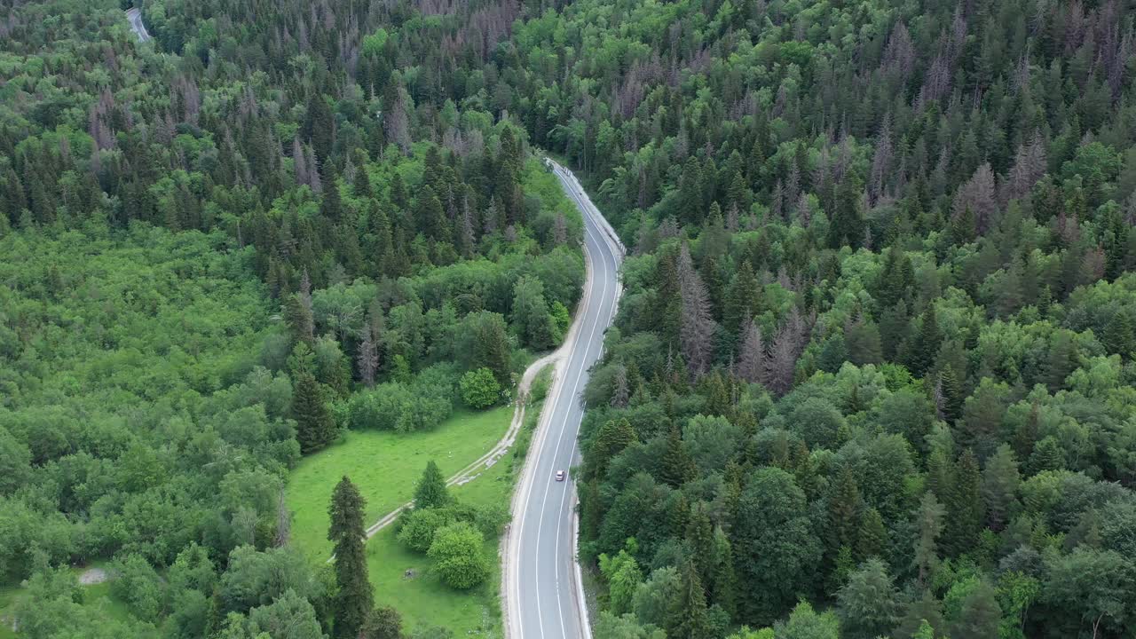 穿过森林的柏油路俯视图。无人机拍摄到蜿蜒道路上的树梢和驾驶的汽车视频素材