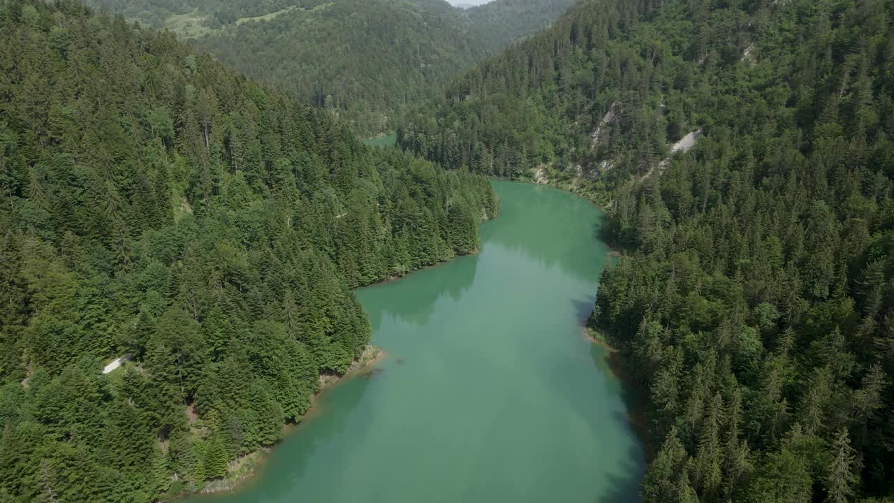 夏天，美丽的山湖围绕着一片松树林。自然户外旅游目的地，国家公园塔拉，Zaovine湖，塞尔维亚视频素材