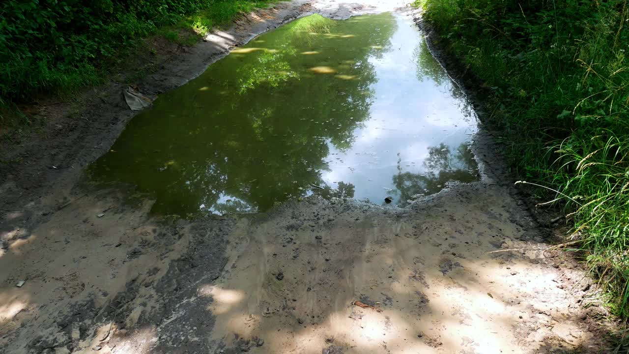 森林路上的大泥坑。多雨的天气。视频素材