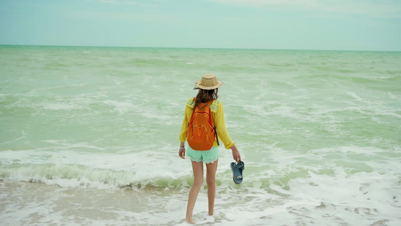 梦想自由的女人张开双臂站在美丽的海景面前视频素材