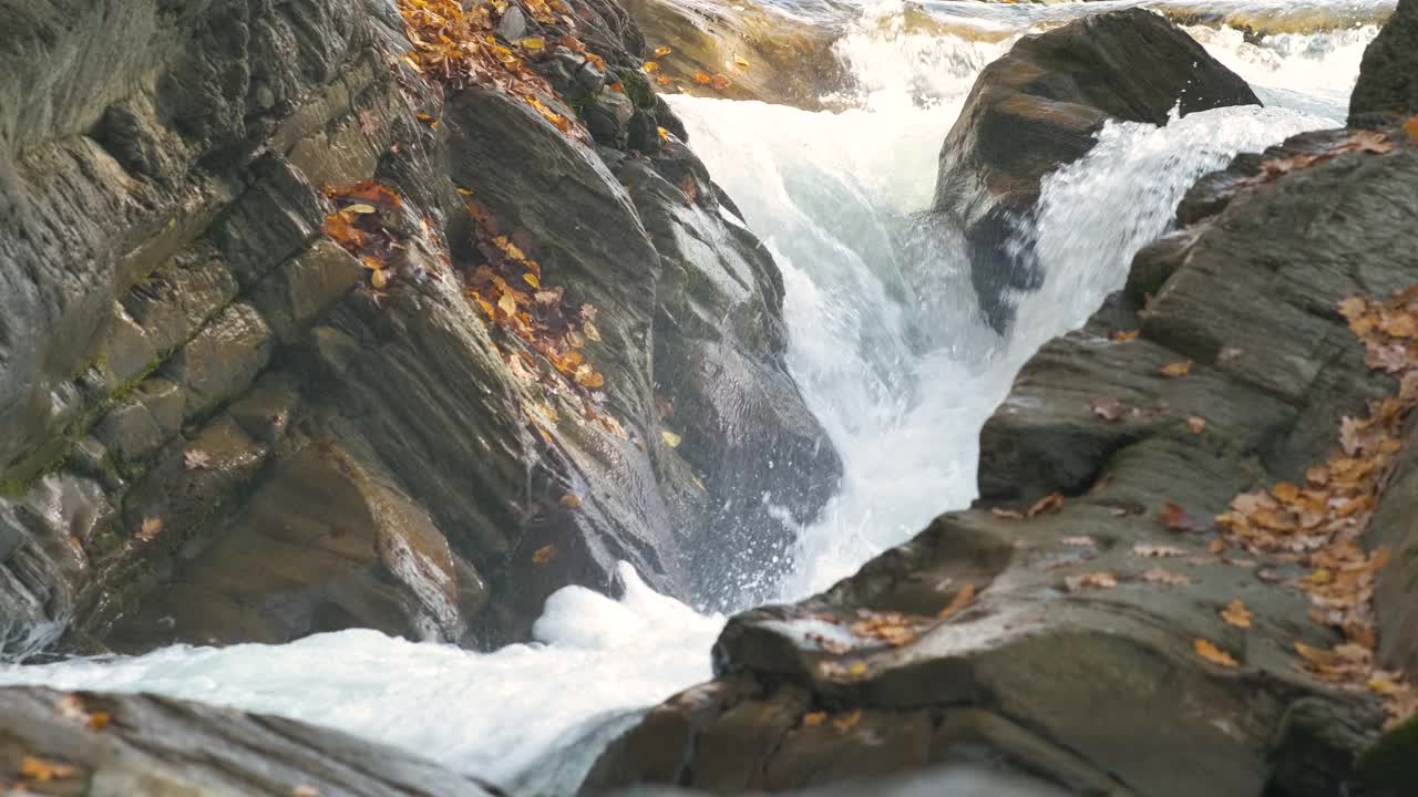 秋天，在岩石之间有快速流动的清澈的水的小山涧。视频素材