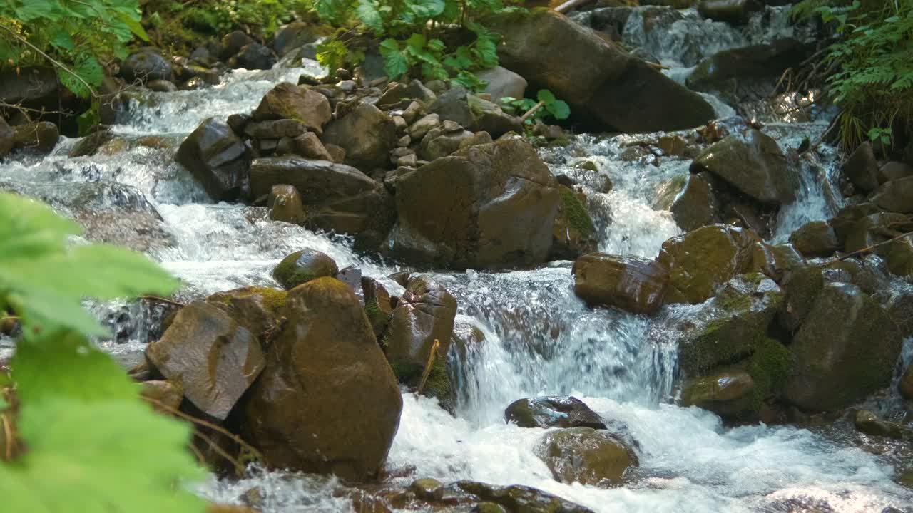 在夏天的森林里，清澈的蓝色的水在潮湿的石头之间流动。视频素材