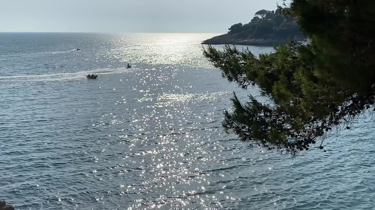 银色的海水背景在夏天的傍晚。闪闪发光的海水。美丽的海景。海上浪漫的黄昏。平静的水面上，茂盛的松树枝。水活动。地平线。幸福。的梦想。视频素材