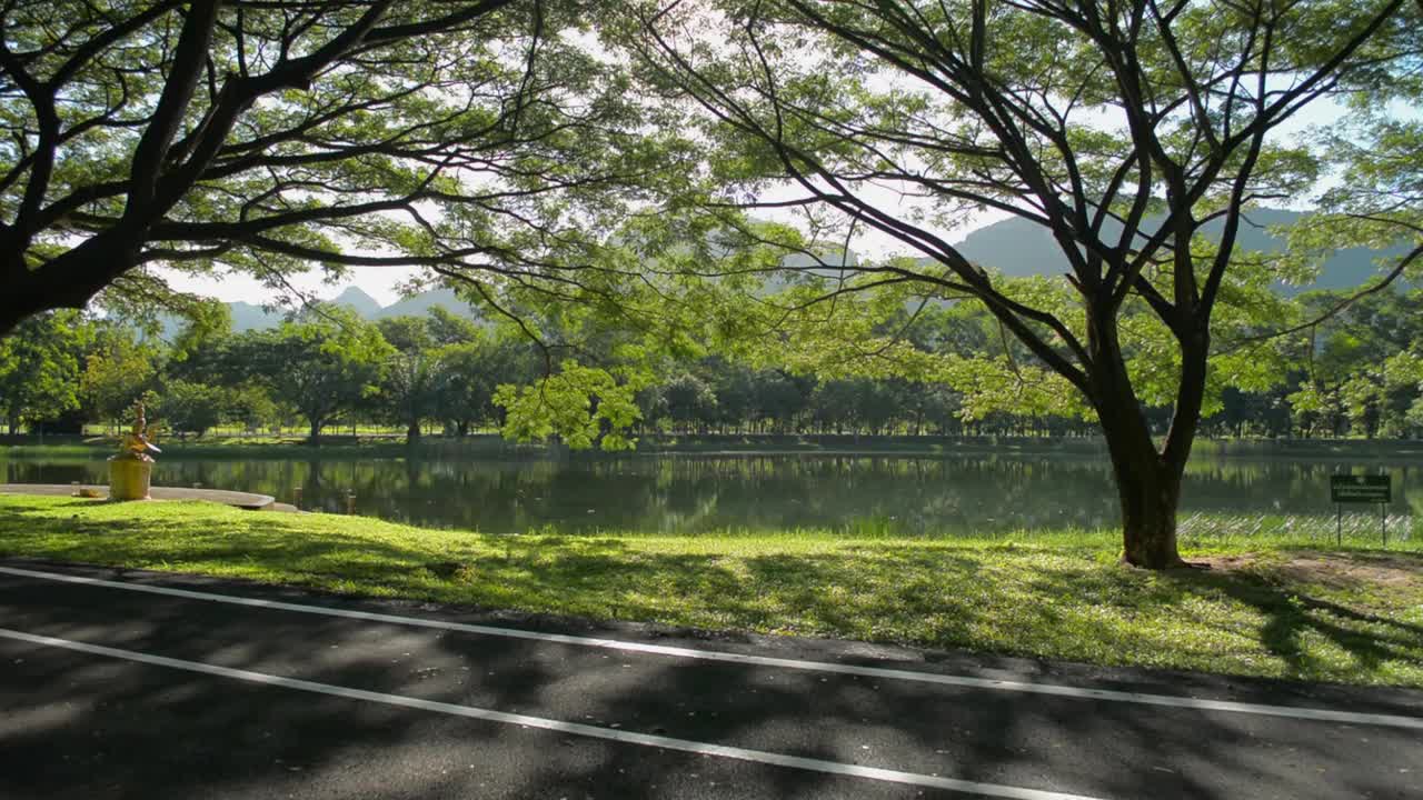 向前疾驰，穿过柏油路，来到绿荫下的草地上，在晨光下有一个天然的池塘。穿着运动服、戴着口罩的女子在公园的小路上慢跑。视频素材