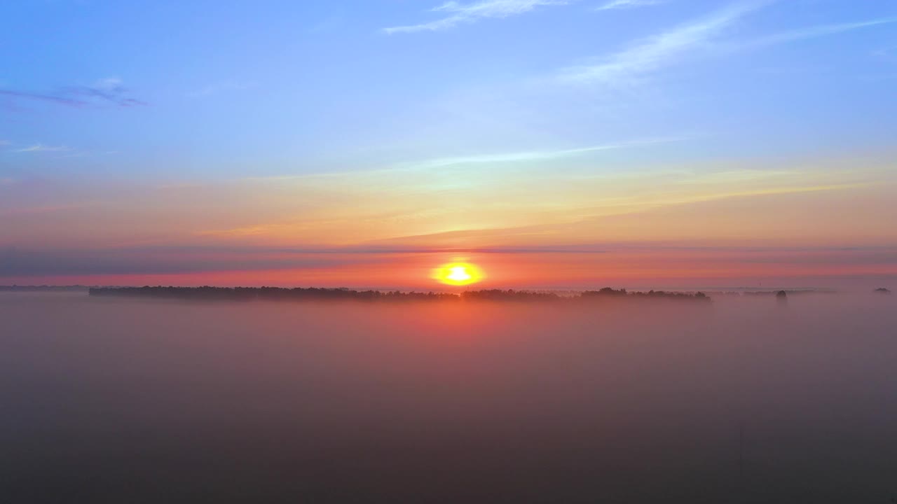 迷人的早晨夏天的绿色草地在雾和阳光视频素材