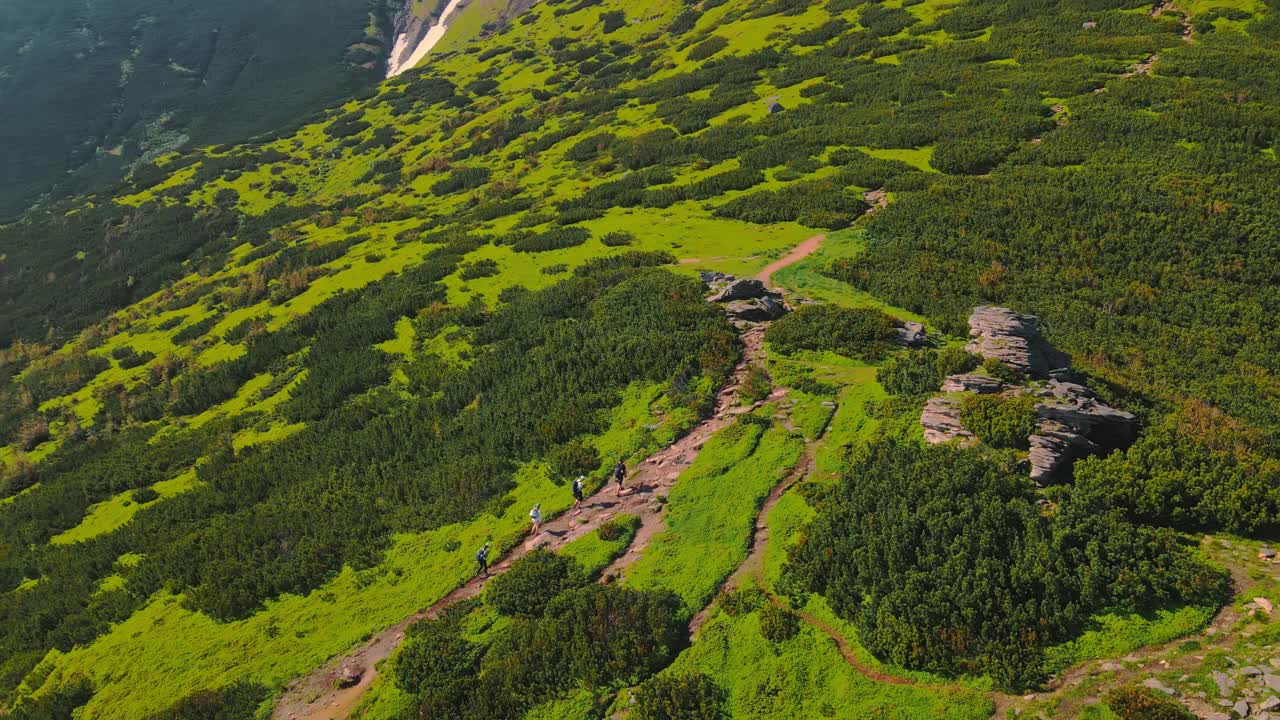 空中飞过一群爬山的游客。四个徒步旅行的朋友在夏天爬上山顶。绿色的灌木丛和岩石周围的游客视频素材