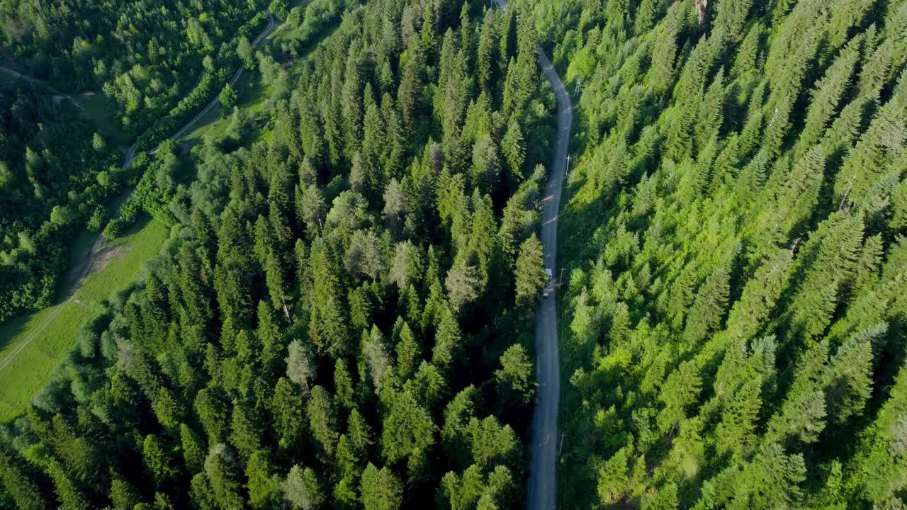 山和森林鸟瞰图视频素材