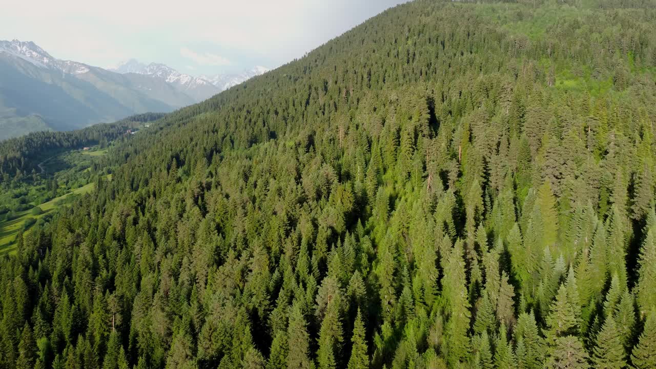 山和森林鸟瞰图视频素材