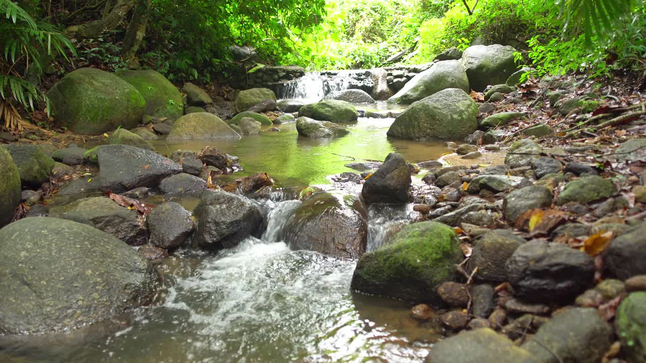 阳光下的小瀑布与绿色植物清晨在雨林丰富的热带雨林与小河流和郁郁葱葱的树叶背景视频素材