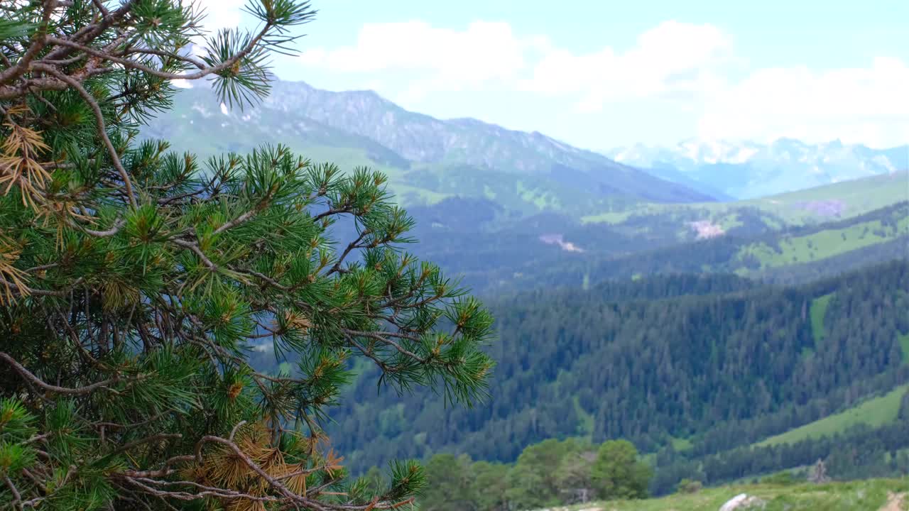 山的风景。高加索山脉四周都是松树。视频素材