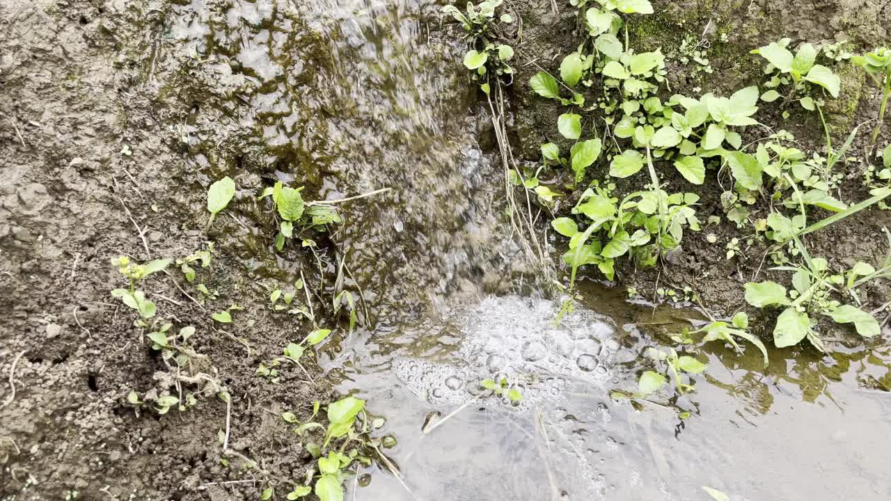 水在地里冒泡视频下载