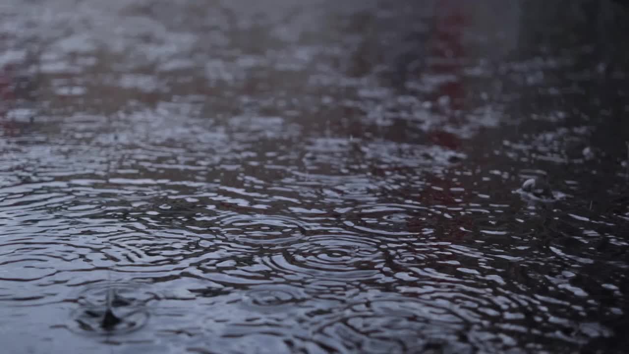 雨滴滴进水坑。视频下载