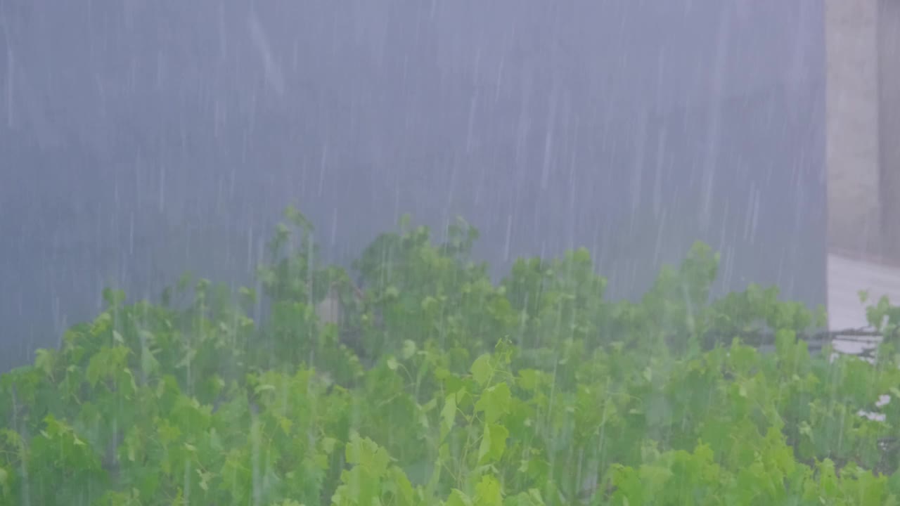 大雨，金属屋顶和雾蒙蒙的布尔萨市。视频素材