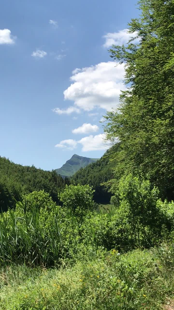 夏天在普拉蒂尼亚诺湖视频素材