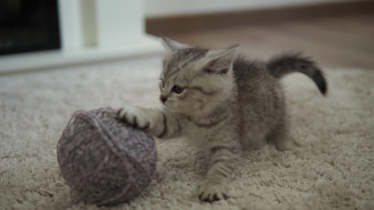 宝宝和小猫玩。Tomcat在地毯上靠近燃烧的壁炉在家里舒适。条纹小猫玩线球。凯蒂跑去看摄像机。快乐可爱的宠物，童年，野性自然的概念视频素材