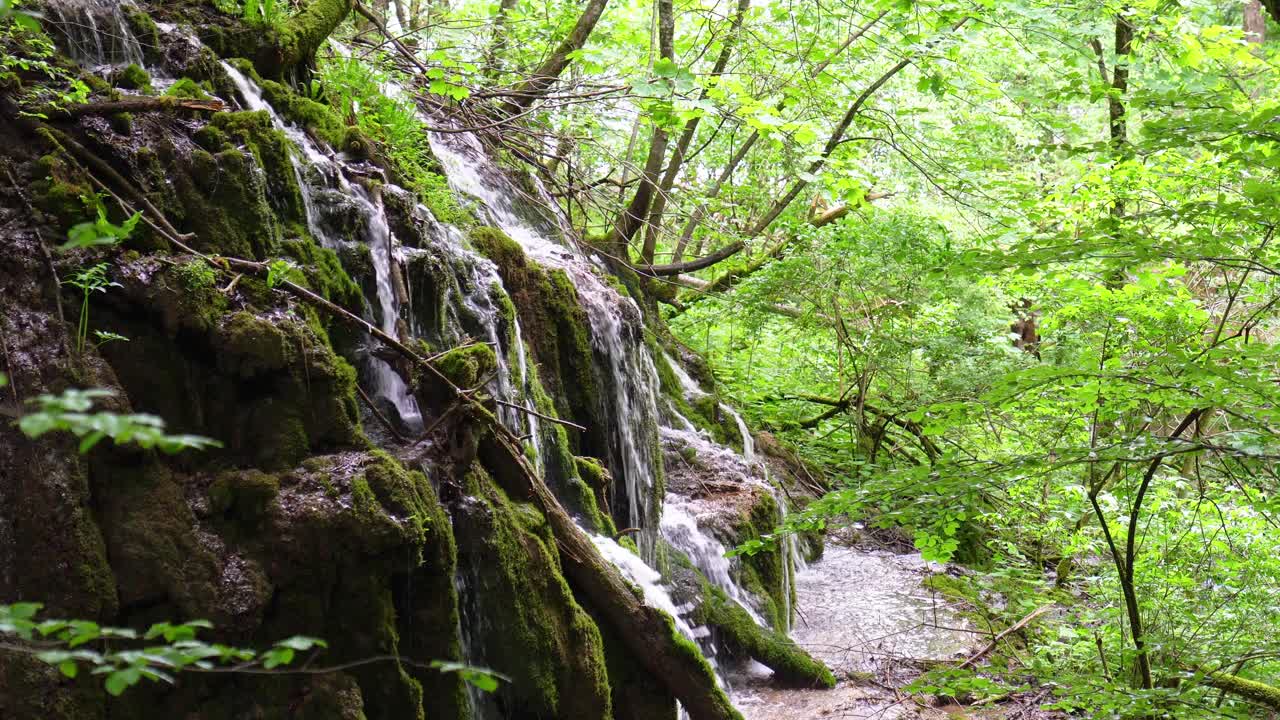 山上有瀑布和森林溪流。山溪特写视频素材