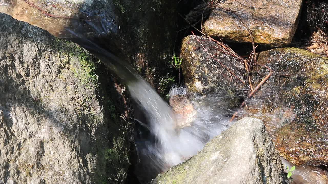 小溪小溪的水在森林录像视频素材