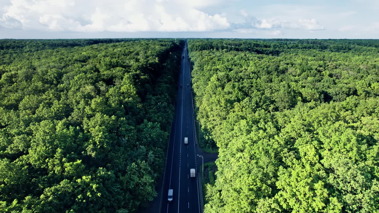 在欧洲阳光明媚的日子里，汽车在森林道路上行驶视频素材