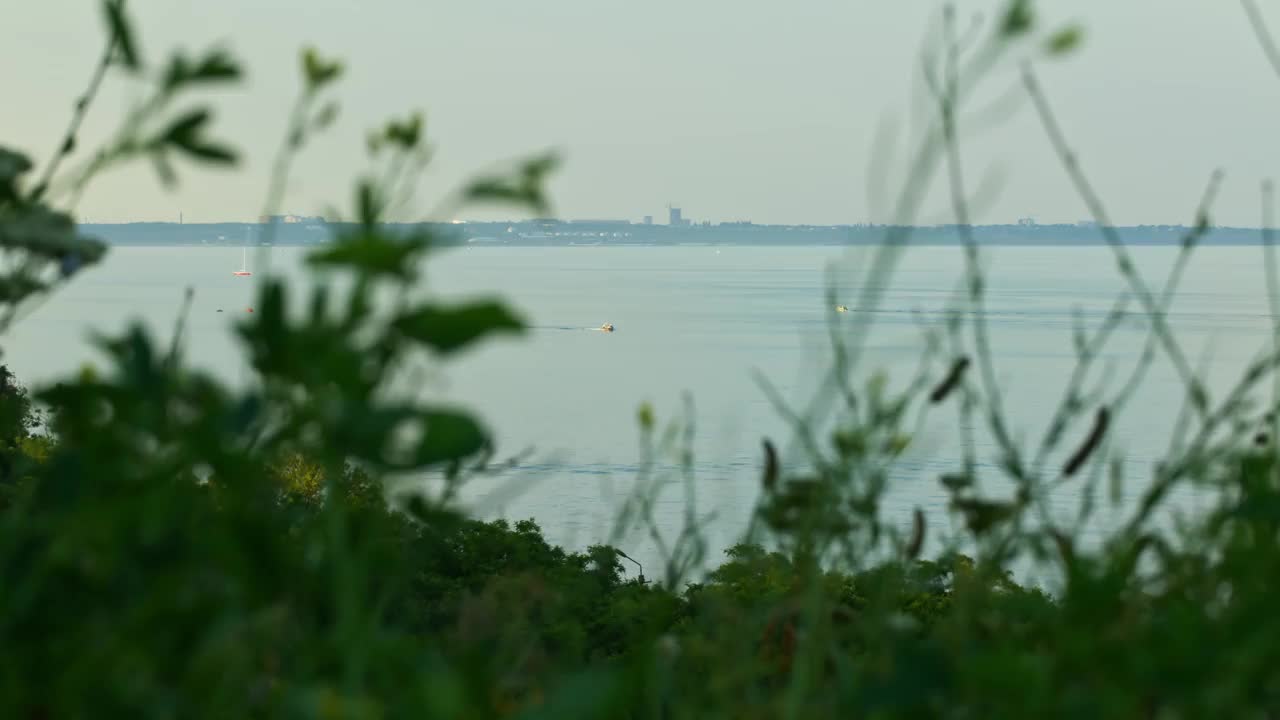 斜坡与绿色的草在黑海海岸。视频素材