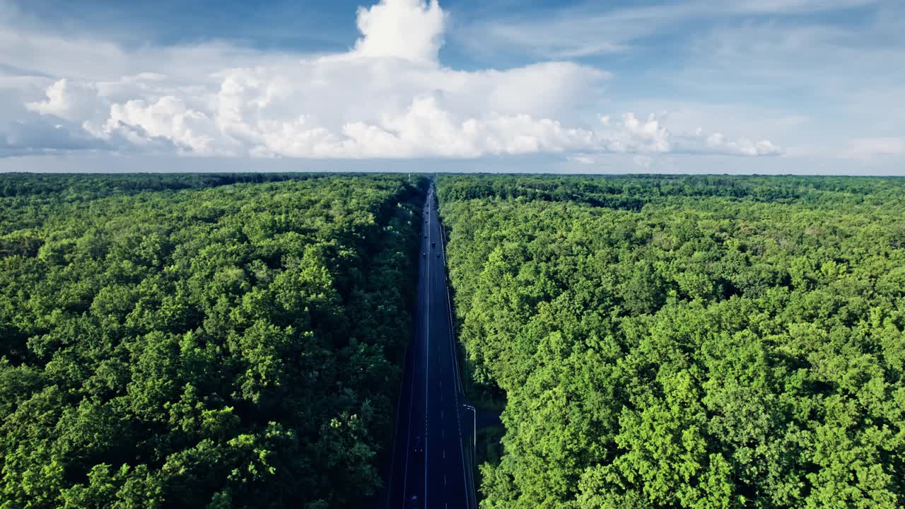 汽车在高速公路上行驶，穿过乡间的森林视频素材