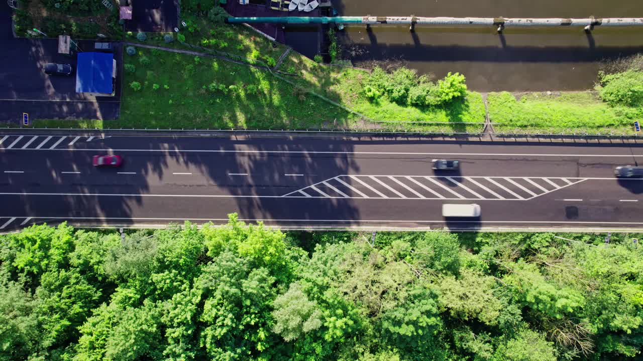 汽车行驶在柏油路上，穿过广阔的森林视频素材