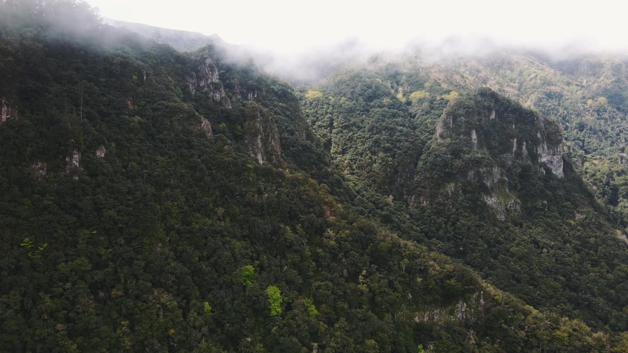 马德拉岛绿山景观。葡萄牙马德拉岛上美丽的山村。视频素材